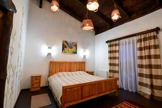 Отель Hotel Skrinya Павлоград Двухместный номер с 1 кроватью и собственной ванной комнатой-4